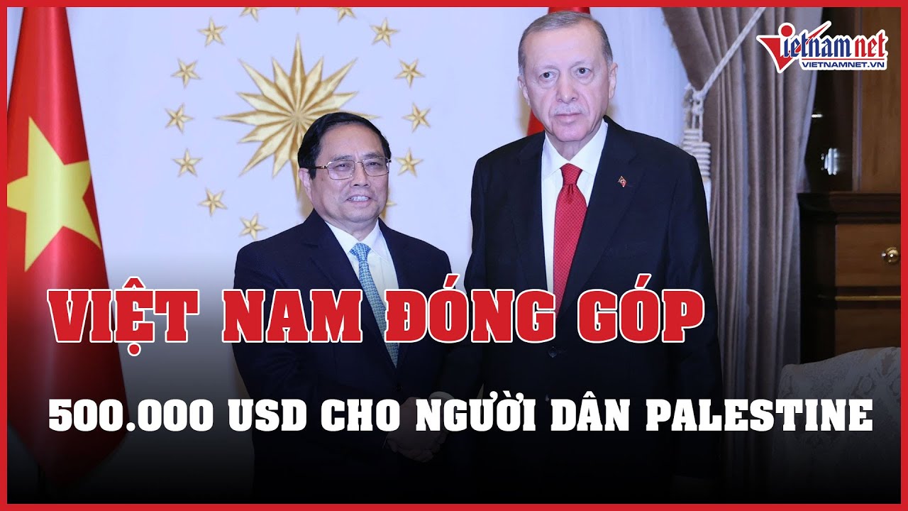 Việt Nam đóng góp 500.000 USD cứu trợ nhân đạo khẩn cấp cho người dân Palestine | Báo VietNamNet