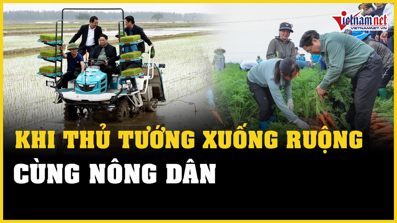 Hải Dương: Thủ tướng Phạm Minh Chính xuống ruộng cùng nông dân | Báo VietNamNet