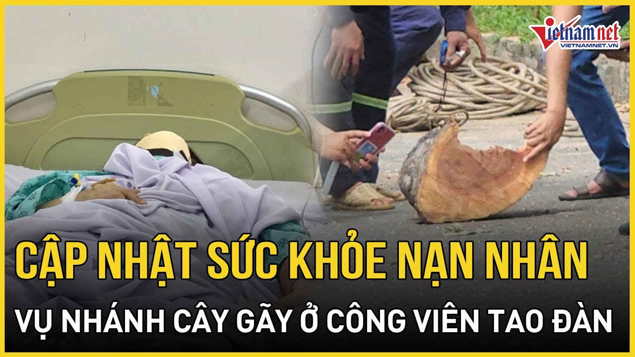 Cập nhật sức khỏe nạn nhân trong vụ nhánh cây gãy ở công viên Tao Đàn | Báo VietNamNet