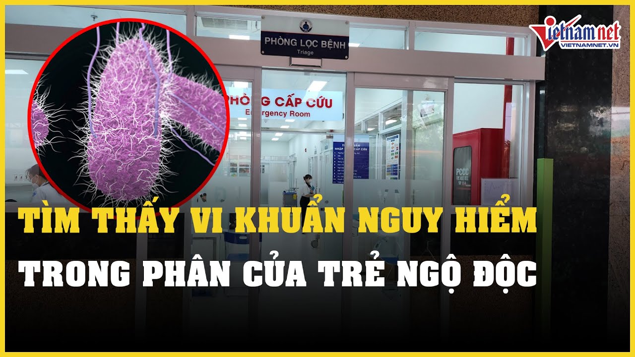 Tìm thấy vi khuẩn nguy hiểm trong phân của trẻ ngộ độc đêm Trung thu | Báo VietNamNet