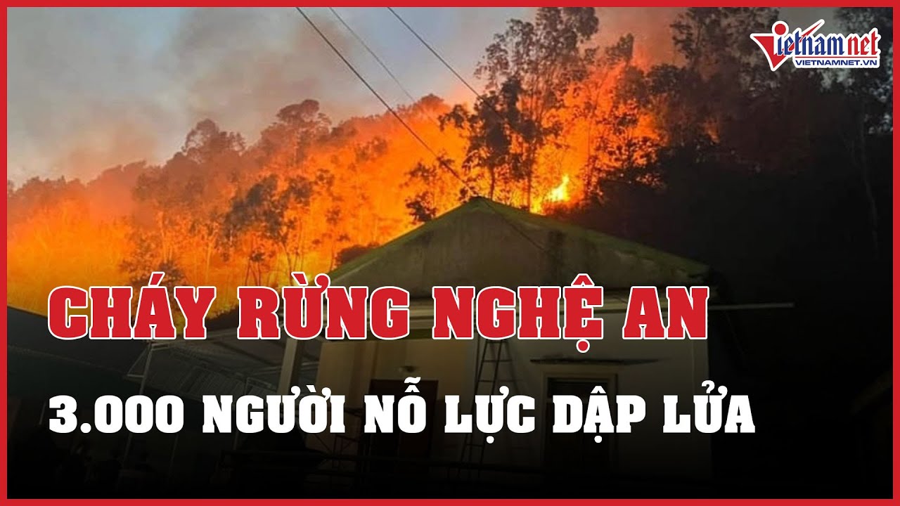 Tin tức thời sự sáng 13/7: Cháy rừng ở Nghệ An, 3000 người dập lửa xuyên đêm | Báo VietNamNet