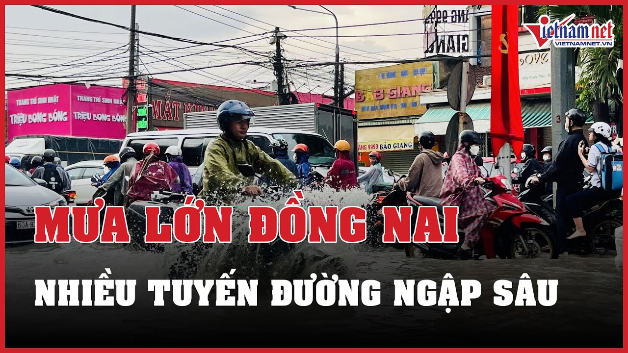 Đồng Nai: Mưa lớn kéo dài gây ngập sâu, nhiều xe chết máy | Báo VietNamNet