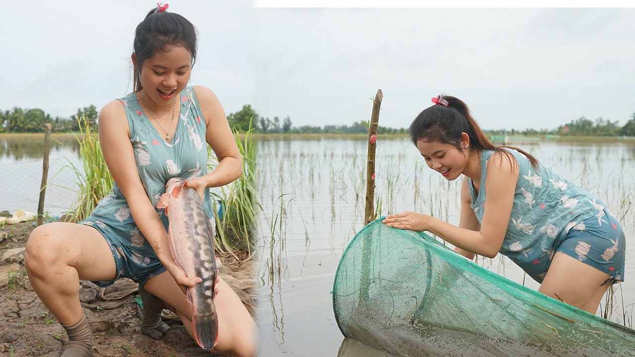 Dở dớn mùa nước nổi dính CÁ LÓC BÔNG khủng gần 2 kg | BÍCH HƯƠNG MT