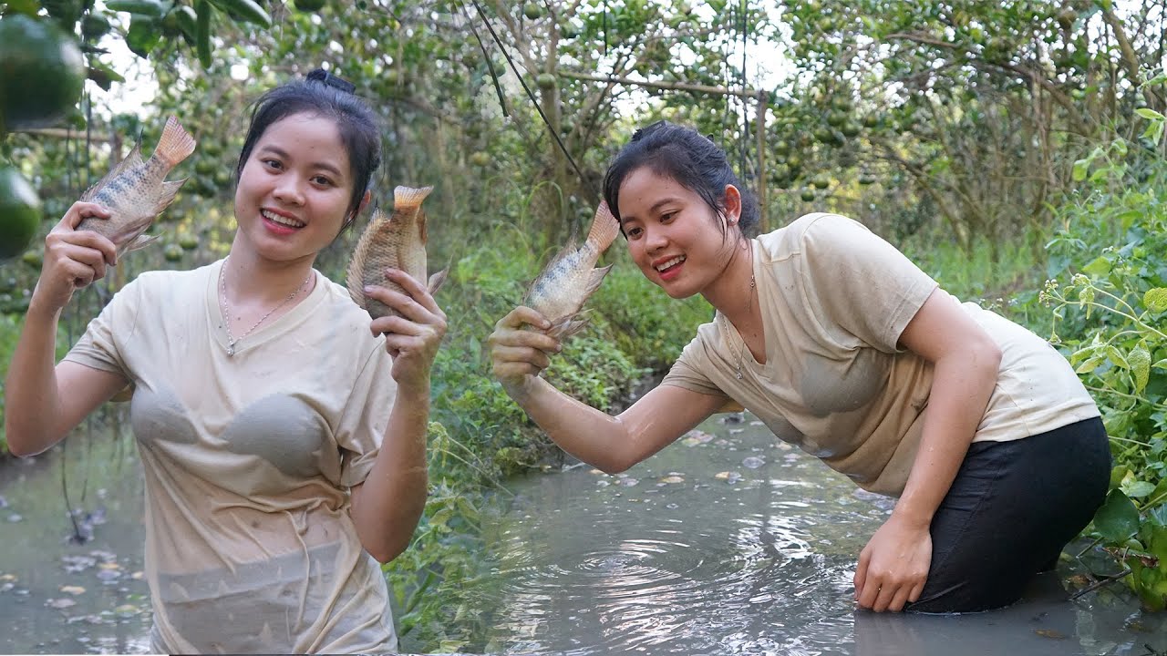 Đột nhập vườn cam bắt CÁ RÔ PHI thấy mê | BÍCH HƯƠNG MT