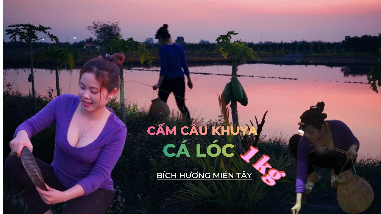 Cắm Câu Khuya Dính Cá Lóc THẤY MÊ