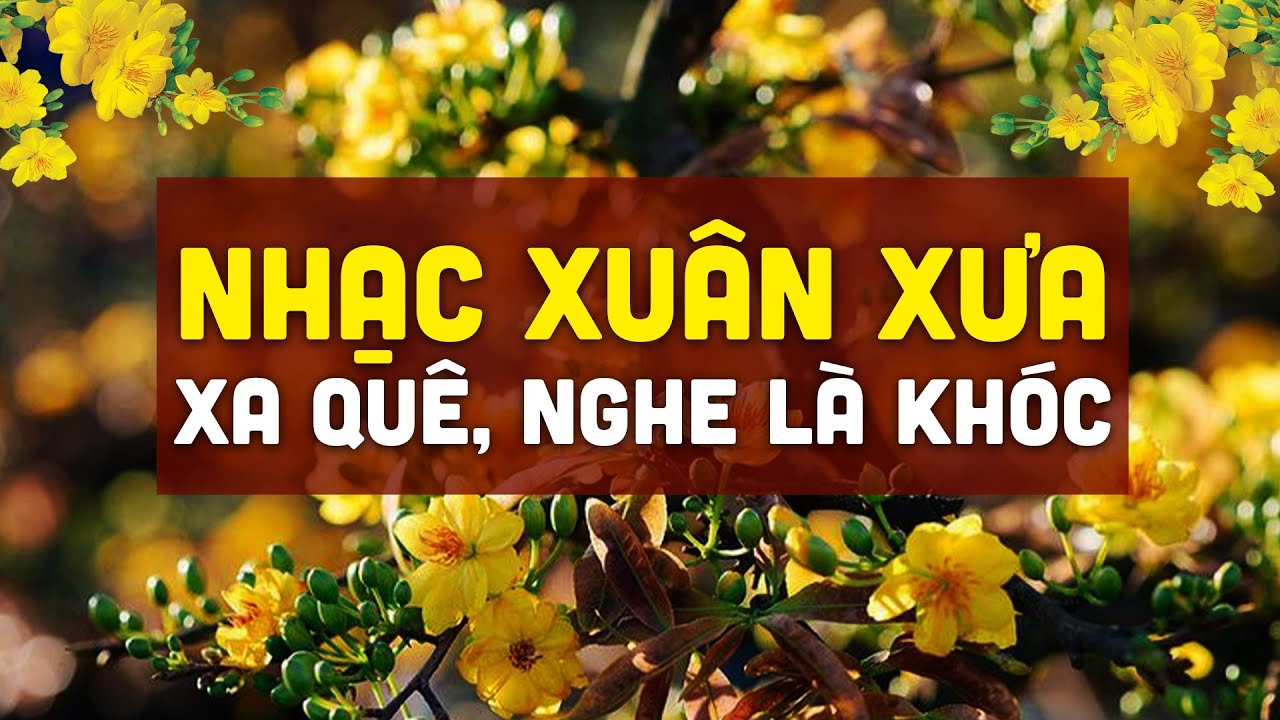 XUÂN NÀY CON KHÔNG VỀ - LK Nhạc Xuân Xưa XA QUÊ NGHE LÀ KHÓC | Nhạc Xuân Hải Ngoại 2024