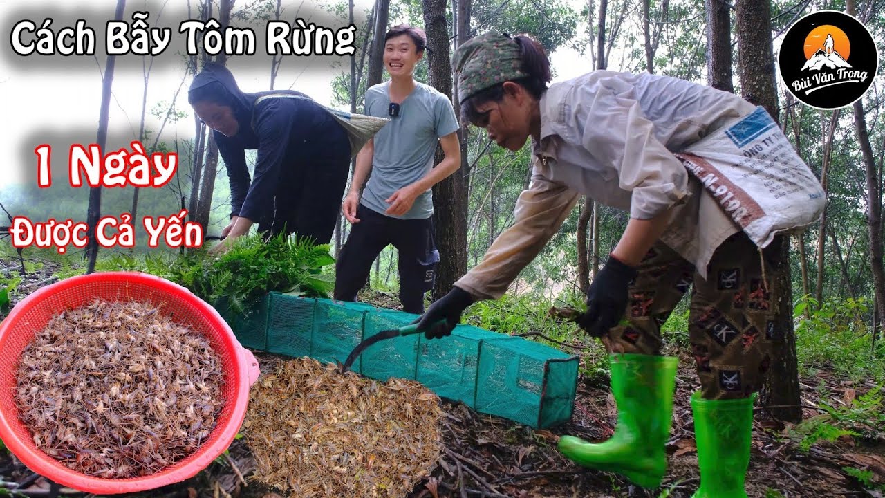 THĂM BẪY TÔM RỪNG ( Chôm Chôm ) BẤT NGỜ TRÚNG LỚN | CÁCH BẪY CHÔM CHÔM HIỆU QUẢ NHẤT - Bùi Văn Trọng