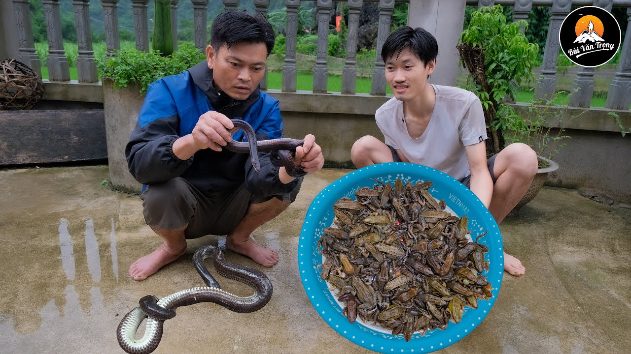 THĂM BẪY ẾCH NHỮNG NGÀY MƯA BẤT NGỜ TRÚNG LỚN - Bùi Văn Trọng