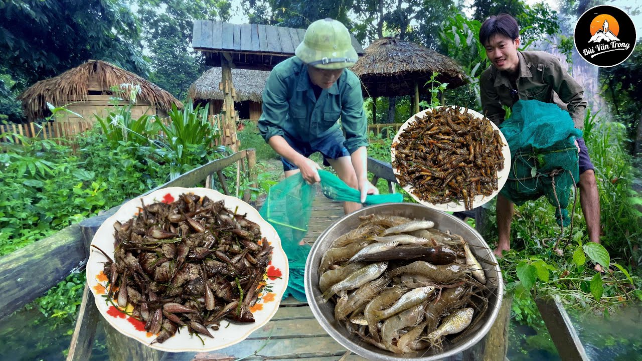 CÙNG BỐ RA SUỐI BẪY TÔM BẮT CÁ - BỮA CƠM BÌNH DỊ TRÊN MIỀN NÚI - Bùi Văn Trọng