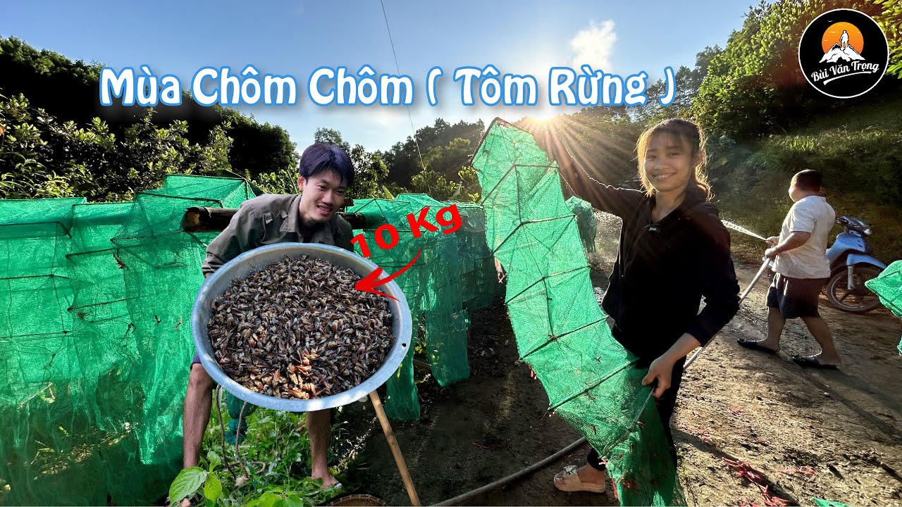 THĂM BẪY CHÔM CHÔM (Tôm Rừng) TRÚNG LỚN 10KG | ĐẶT BẪY KIỂU NÀY TÓM GỌN CẢ Ổ - Bùi Văn Trọng