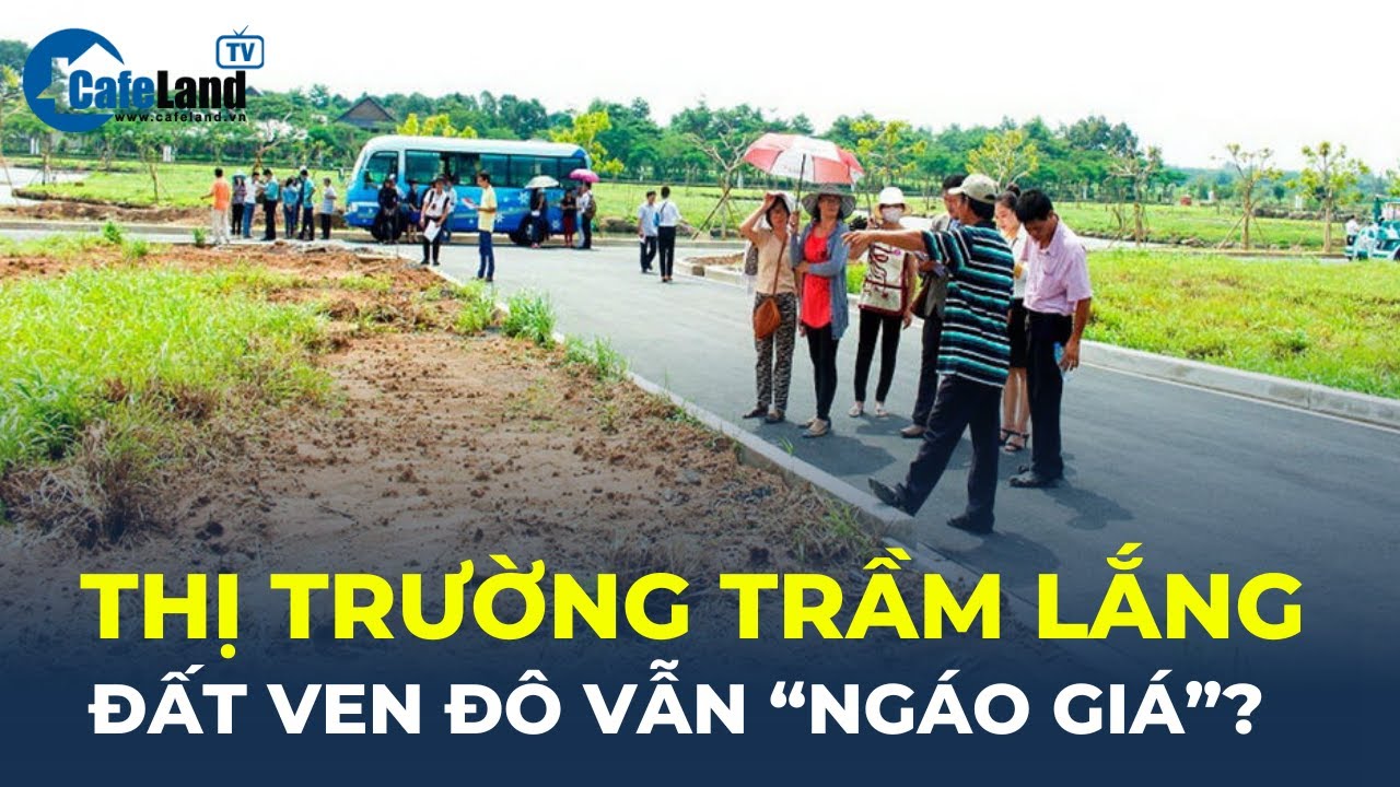 Thị trường trầm lắng kéo dài, đất ven đô vẫn "NGÁO GIÁ"? | CafeLand