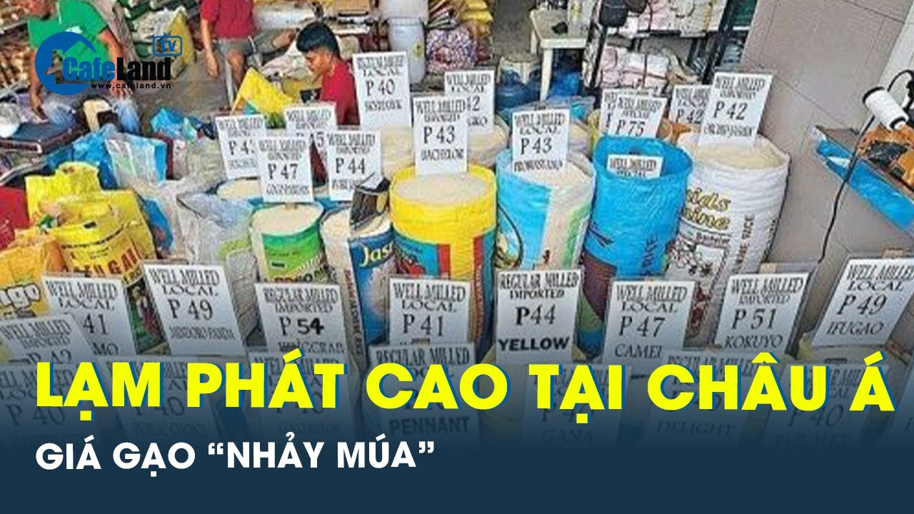 Bức tranh lương thực toàn cầu đáng lo ngại khi giá gạo tăng | CafeLand