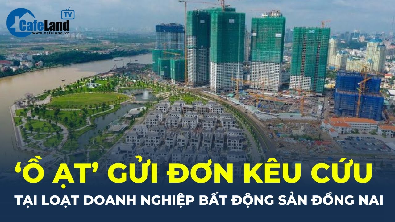 Bản tin: Hàng loạt doanh nghiệp bất động sản tại Đồng Nai gửi đơn KÊU CỨU | CafeLand