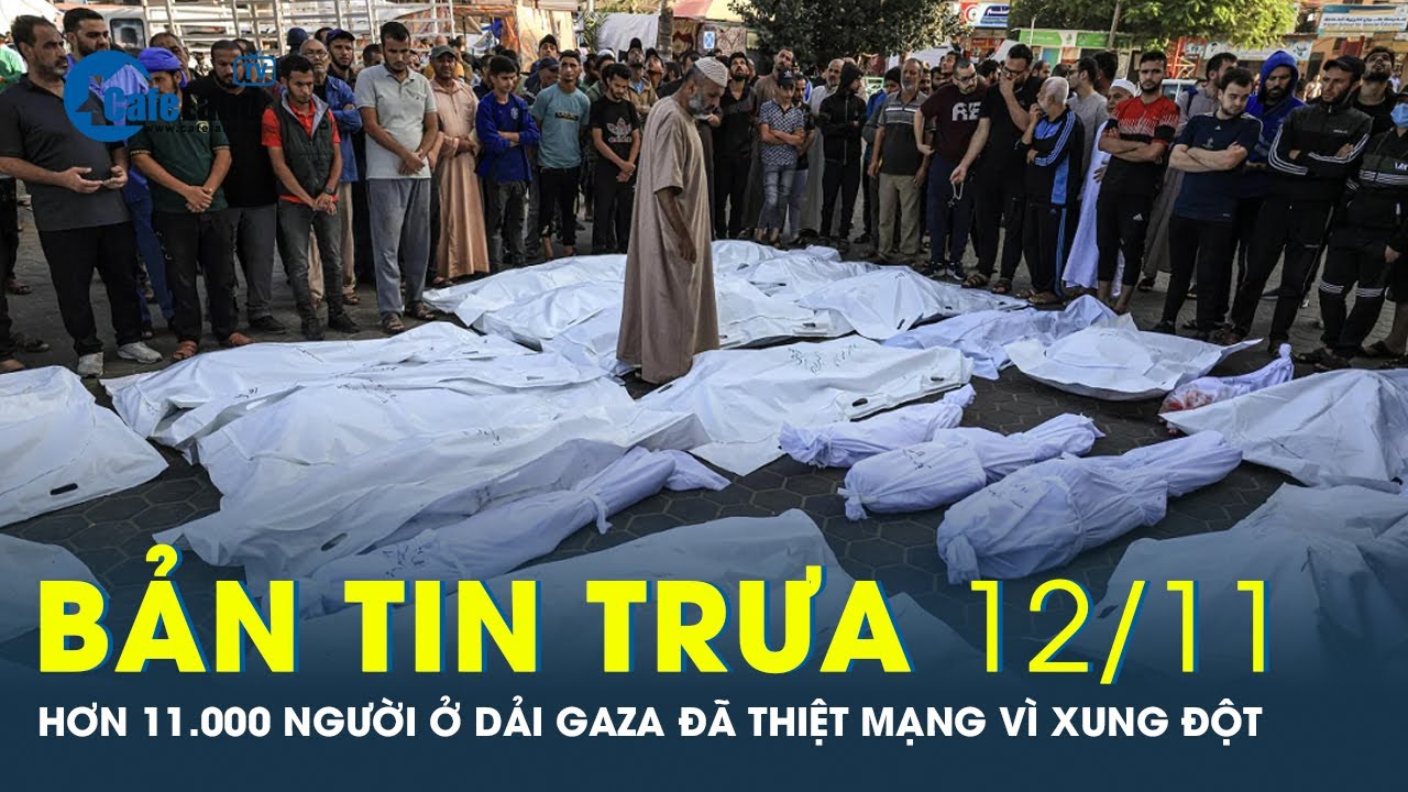 Bản tin trưa 12/11: Kinh hoàng số người thương vong ở Gaza vì xung đột Israel - Hamas | CafeLand