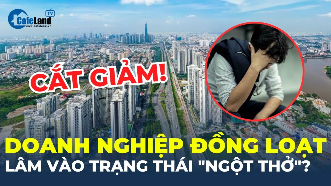 Doanh nghiệp bất động sản đồng loạt lâm vào trạng thái “ngộp thở”? | CafeLand