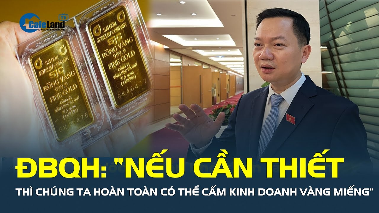 ĐBQH: “Nếu cần thiết thì chúng ta hoàn toàn có thể CẤM KINH DOANH vàng miếng” | CafeLand