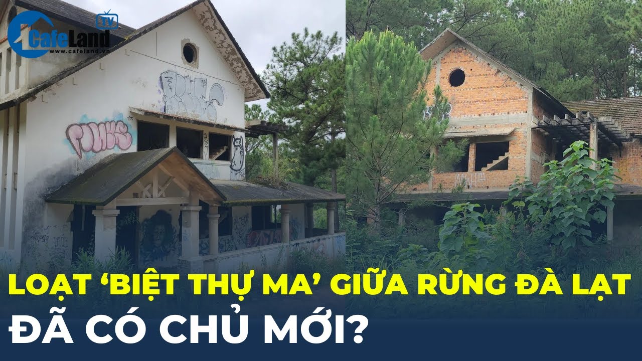 Loạt 'biệt thự ma' giữa rừng Đà Lạt đã có chủ mới? | CafeLand