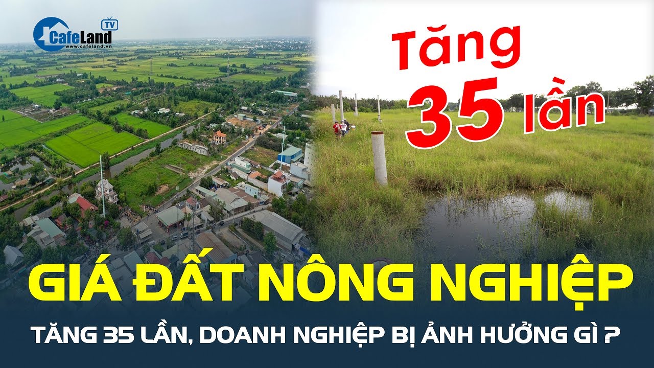 Giá đất nông nghiệp TP.HCM TĂNG 35 LẦN, doanh nghiệp sản xuất bị ảnh hưởng gì? | CafeLand