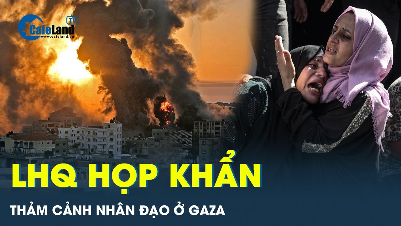 Liên Hợp Quốc họp khẩn về thảm cảnh nhân đạo ở Gaza | CafeLand