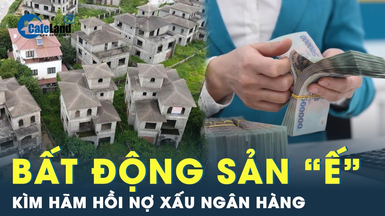 Cuộc khủng hoảng nợ xấu: Ngân hàng xoay xở trong thị trường Bất động sản ế ẩm | Cafeland