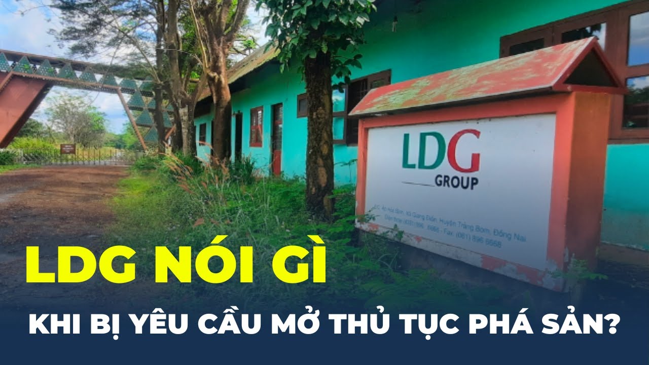 LDG nói gì khi bị yêu cầu mở thủ tục PHÁ SẢN? | CafeLand