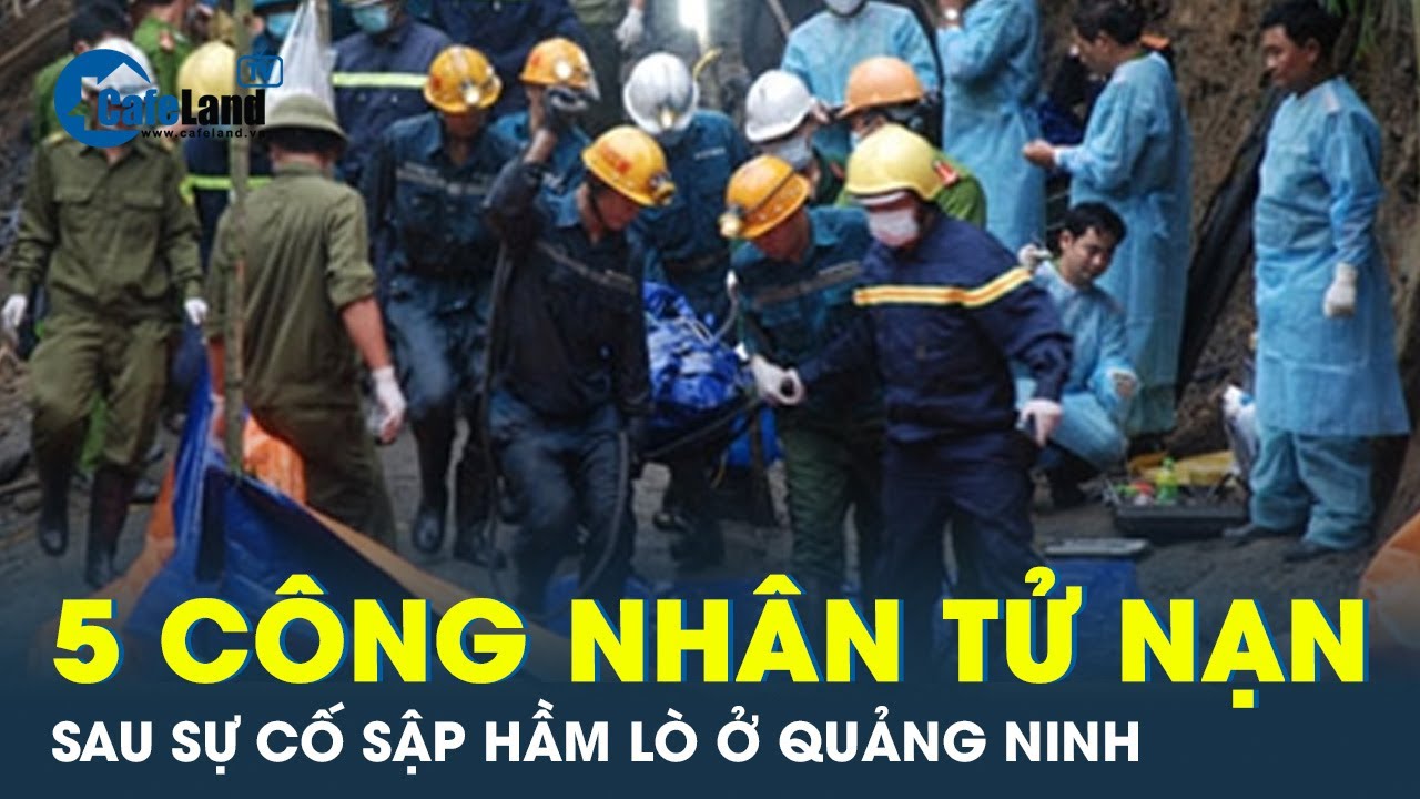 Nguyên nhân vụ tai nạn lao động tại Công ty than Hòn Gai khiến 5 công nhân tử vong | CafeLand