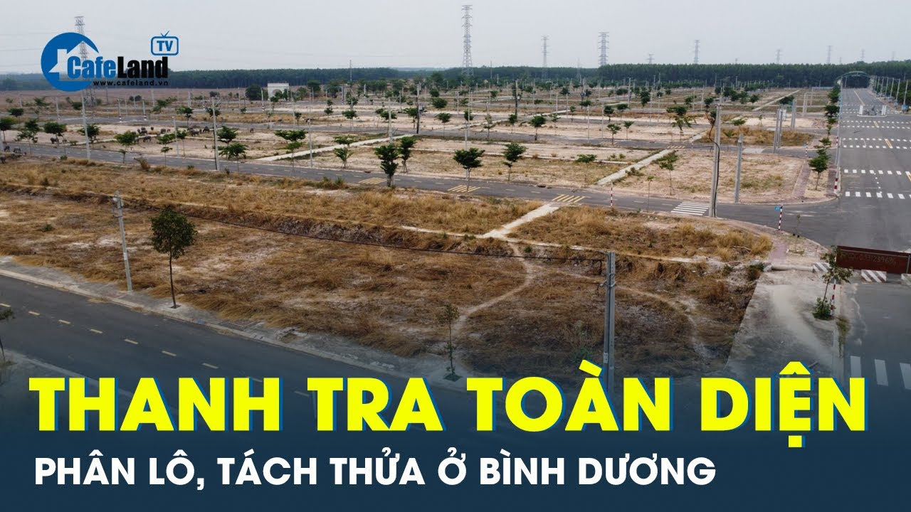 Đề nghị thanh tra toàn diện việc phân lô, tách thửa tại Bình Dương | CafeLand