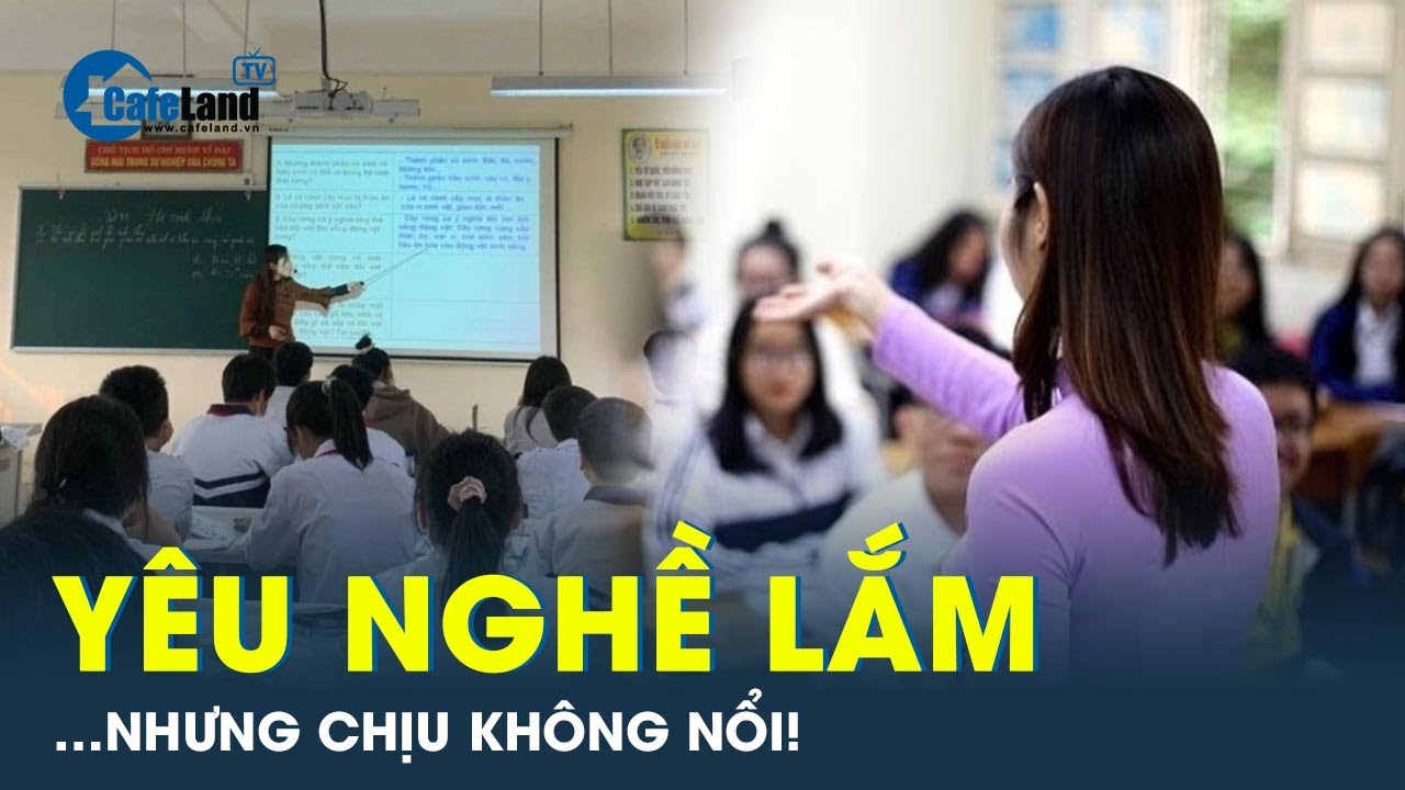 Yêu nghề nhưng giáo viên vẫn xin nghỉ việc vì đồng lương quá ít ỏi | CafeLand