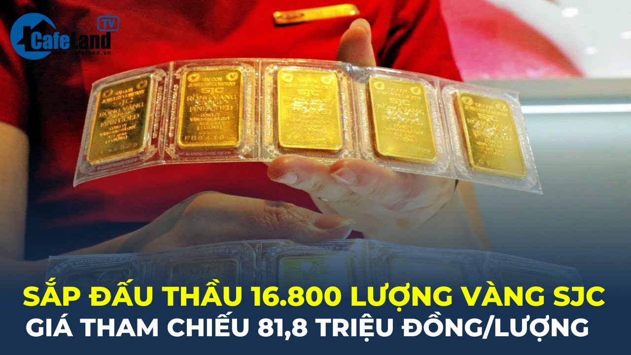 Nóng: Sắp đấu thầu 16.800 lượng vàng SJC, giá tham chiếu 81,8 TRIỆU/LƯỢNG | CafeLand