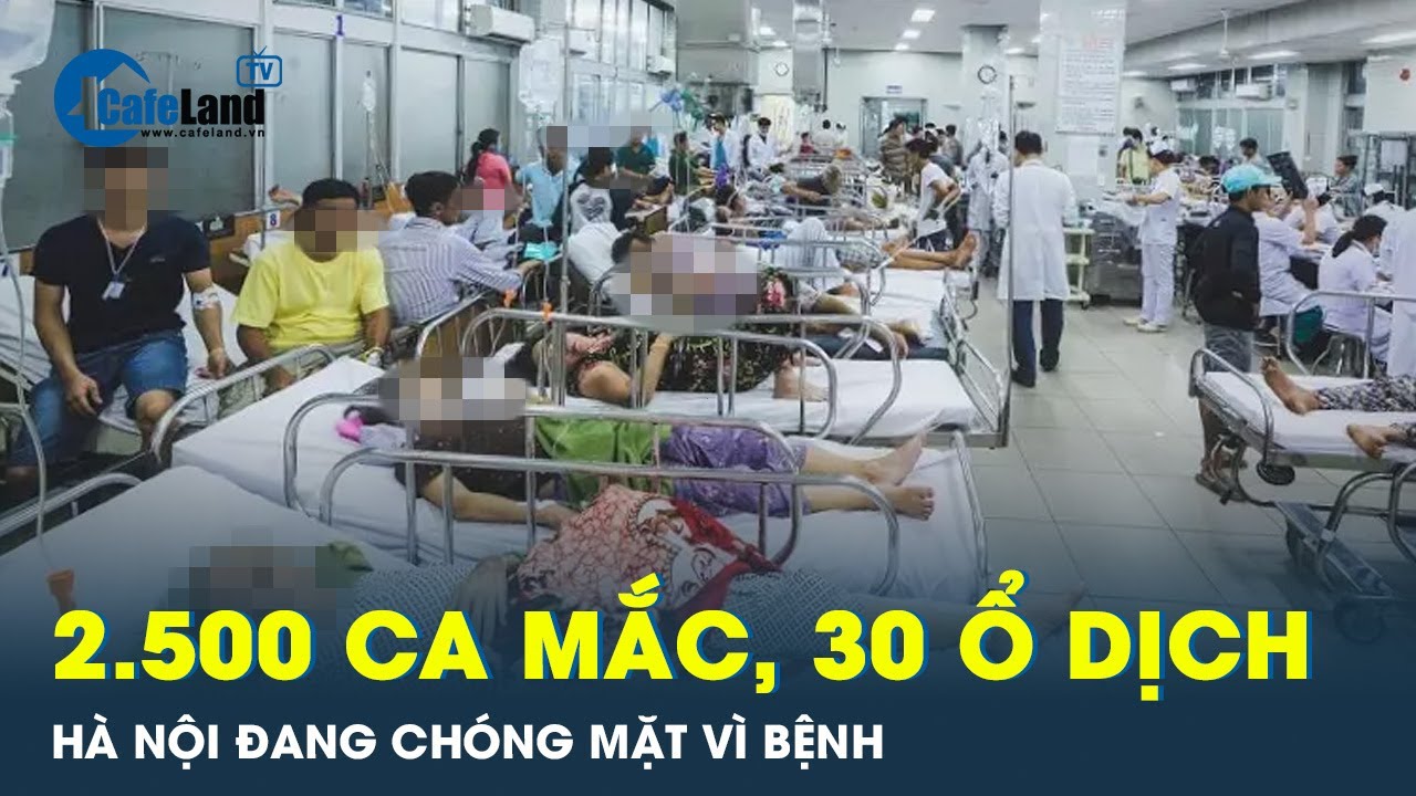 30 ổ dịch sốt xuất huyết đang bao vây Hà Nội, 2.500 ca mắc | Cafeland