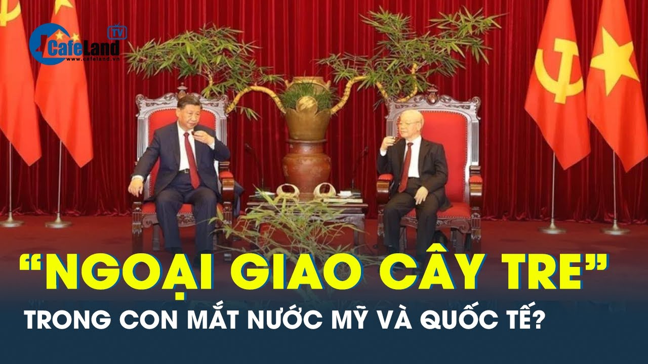 'Ngoại giao cây tre' của Việt Nam được thế giới nhìn nhận và công nhận như thế nào? | CafeLand