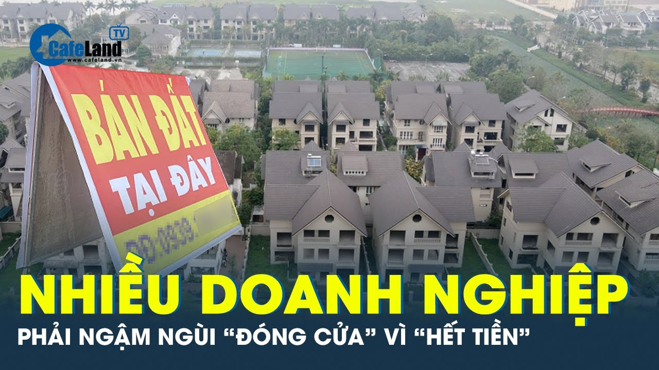 Lý do hàng loạt doanh nghiệp bất động sản phải ngừng hoạt động ? | CafeLand