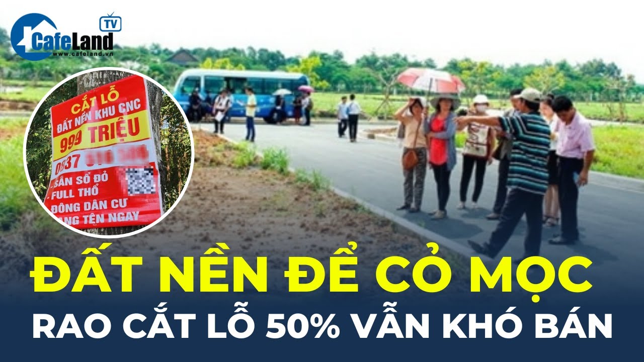 Đất nền lô to ven đô để CỎ MỌC, rao cắt lỗ 50% vẫn KHÓ BÁN | CafeLand