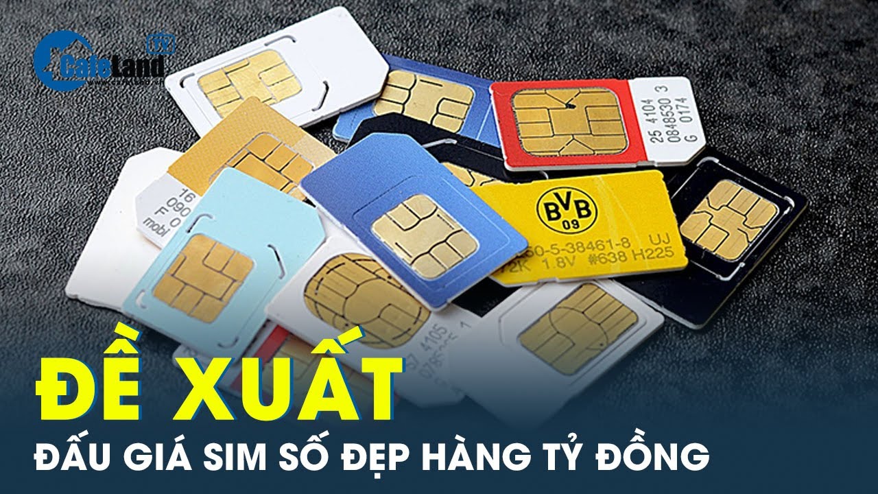 Nhiều sim số đẹp giá hàng tỷ đồng, đại biểu Quốc hội đề xuất đấu giá như biển số xe ô tô | CafeLand