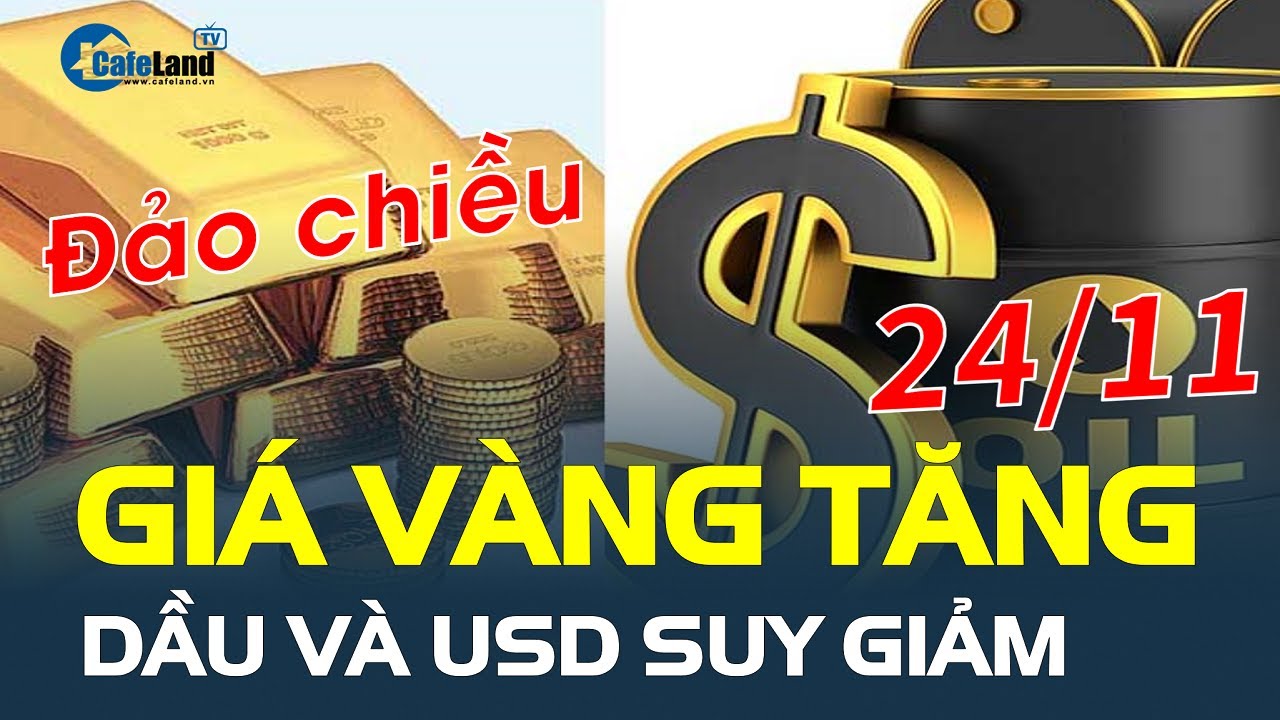 ĐẢO CHIỀU: Giá vàng 24/11 tăng, dầu và USD suy giảm | CafeLand