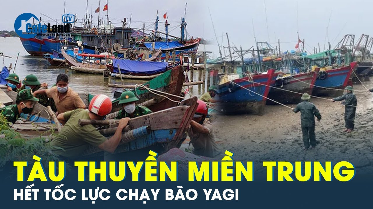 Bão Yagi đến gần, các tỉnh miền Trung khẩn cấp đưa tàu thuyền vào nơi tránh bão | CafeLand