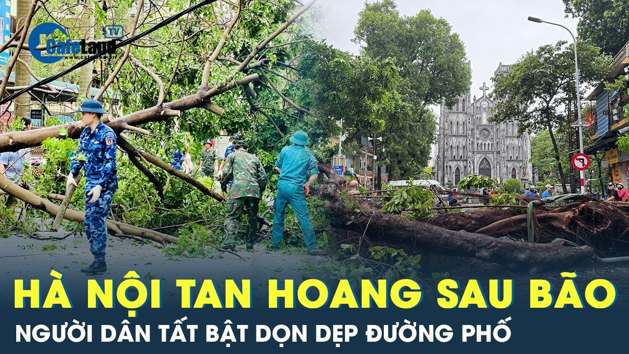 Hà Nội tan hoang sau cơn cuồng phong, người dân tất bật dọn dẹp lại Thủ đô | CafeLand