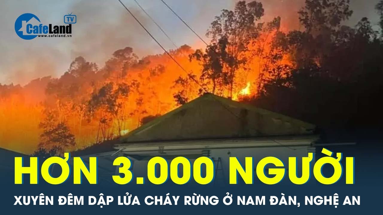 3.000 người được huy động chữa cháy rừng ở Nam Đàn, Nghệ An  | CafeLand