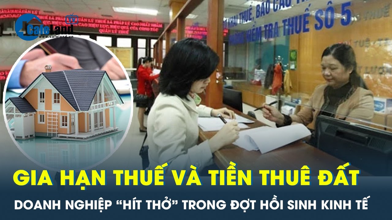 Tin vui cho doanh nghiệp, gia hạn nộp thuế và tiền thuê đất trong năm 2024  | CafeLand