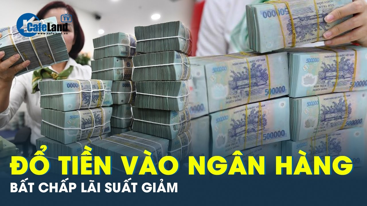 VÌ SAO: Người dân vẫn gửi tiền ngân hàng bất chấp lãi suất giảm? | CafeLand