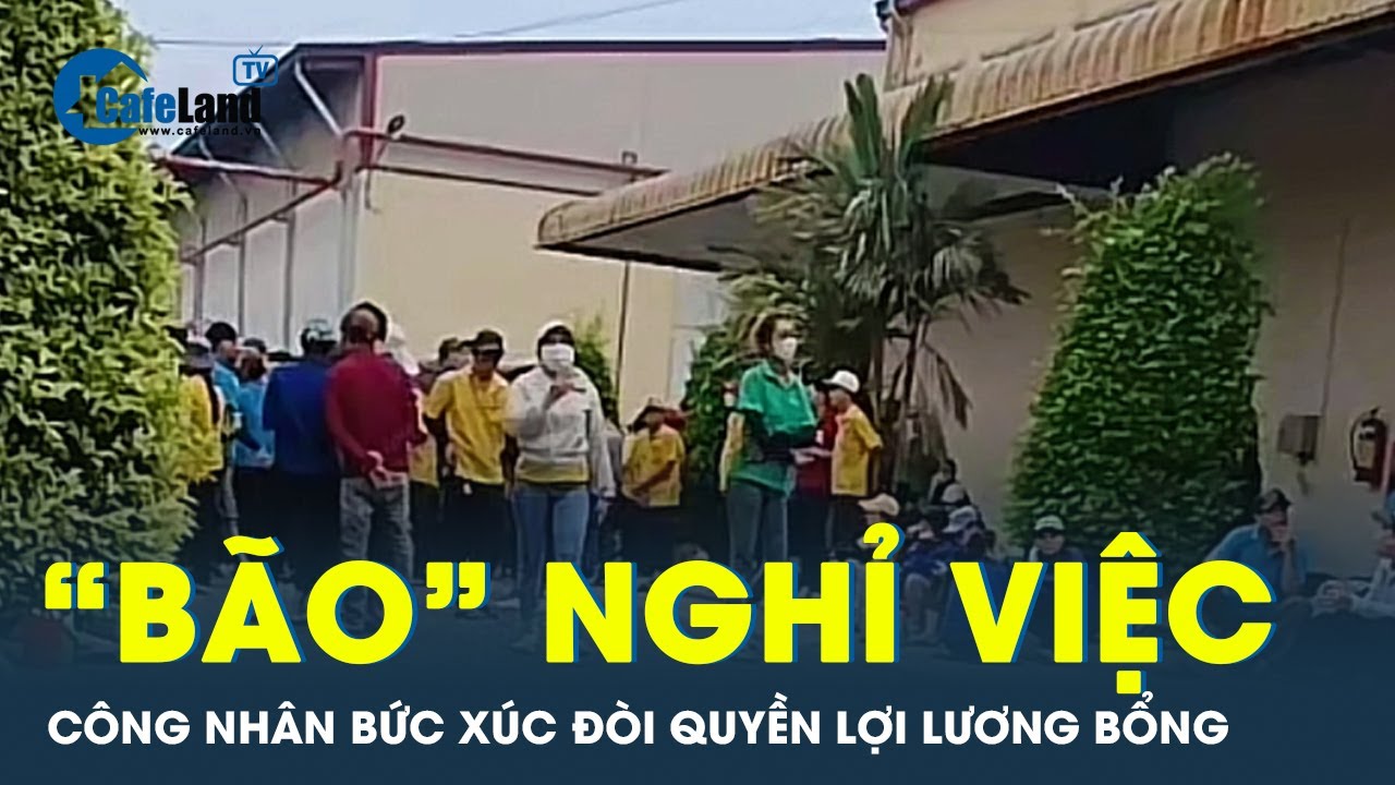 Công nhân Hoàng Sinh nghỉ việc rầm rộ, đòi được trả lương ngay lập tức | CafeLand