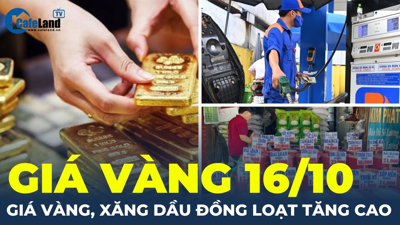 Giá vàng 16/10: Giá vàng, xăng dầu đồng loạt tăng cao | CafeLand