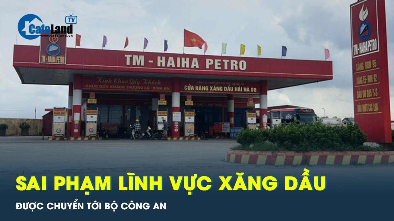 Thanh tra Chính phủ chuyển hồ sơ sai phạm lĩnh vực xăng dầu tới Bộ Công an | CafeLand