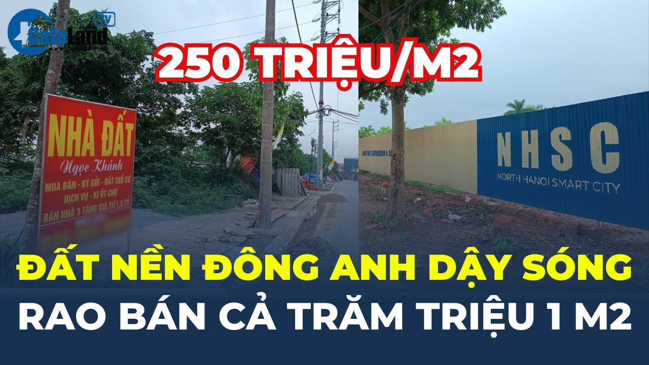 Đất nền Đông Anh DẬY SÓNG, rao bán cả TRĂM TRIỆU MỖI MÉT VUÔNG | CafeLand