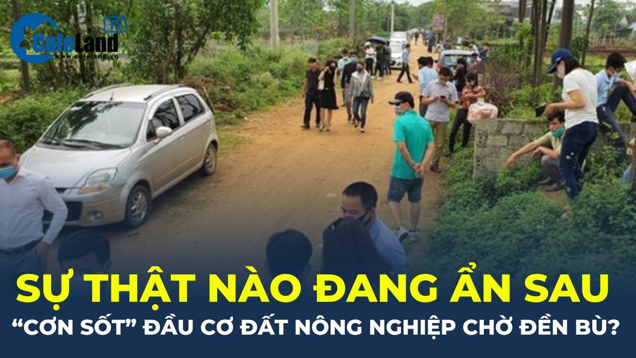 Sự thật nào đang ẩn sau "CƠN SỐT" đầu cơ đất nông nghiệp chờ đền bù? | CafeLand