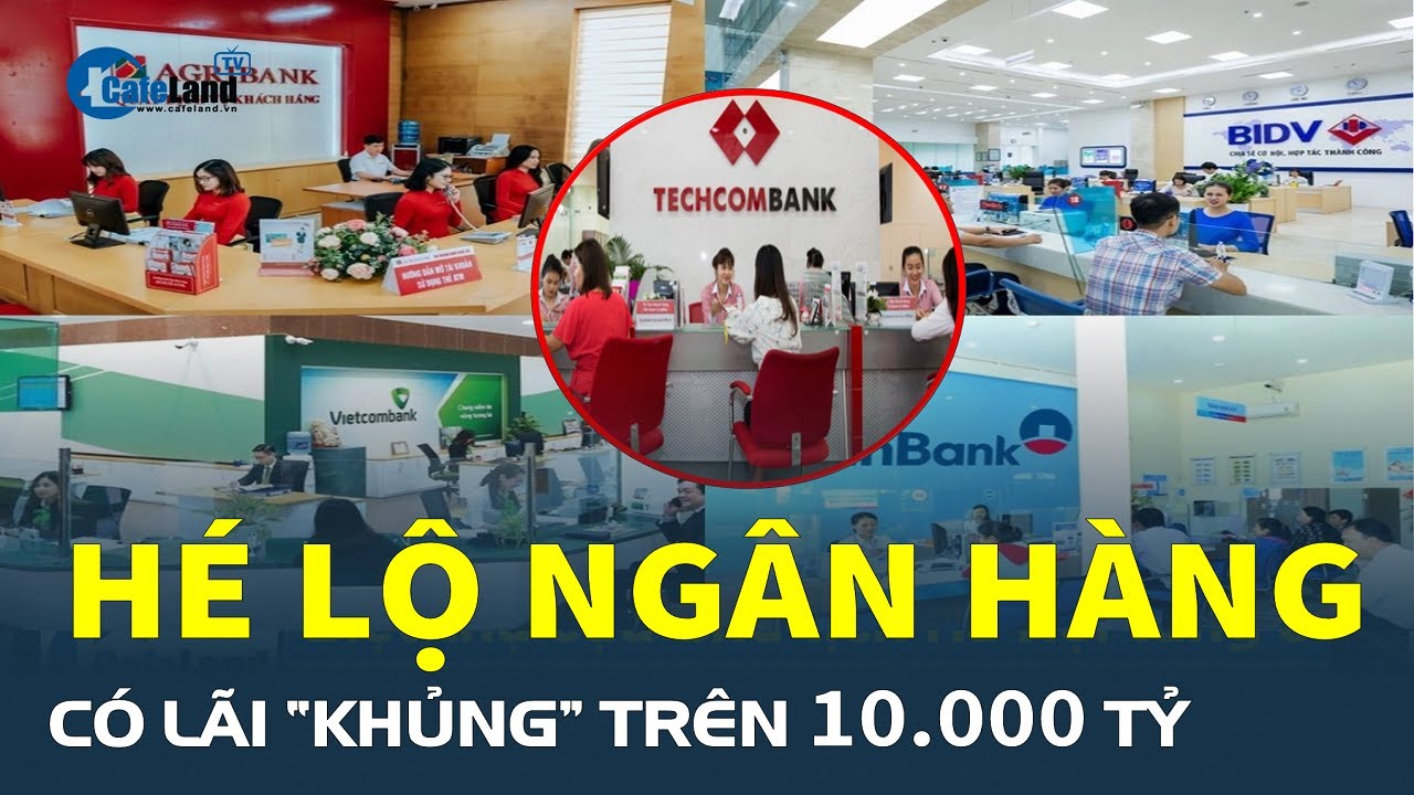 “Ông lớn” ngân hàng nào LÃI “KHỦNG” trong năm 2023, hé lộ cái tên bất ngờ? | CafeLand