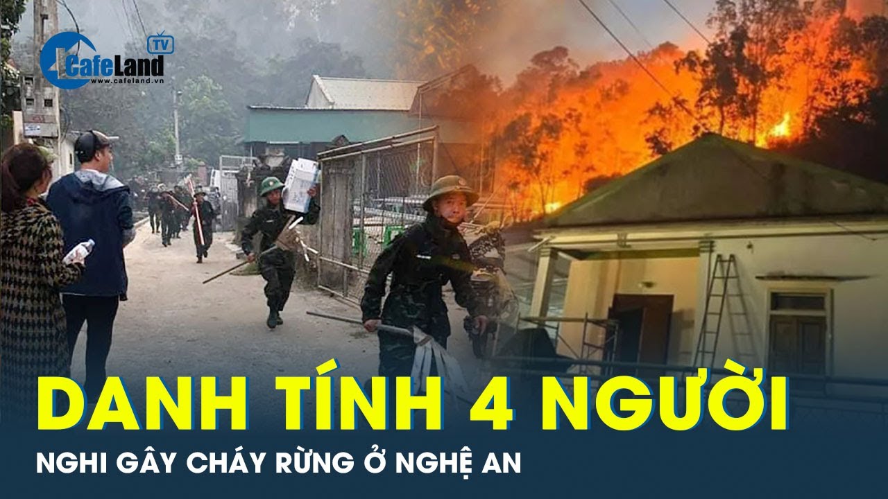 Vụ cháy rừng ở Nghệ An: Công an mời 4 người lên làm việc | CafeLand