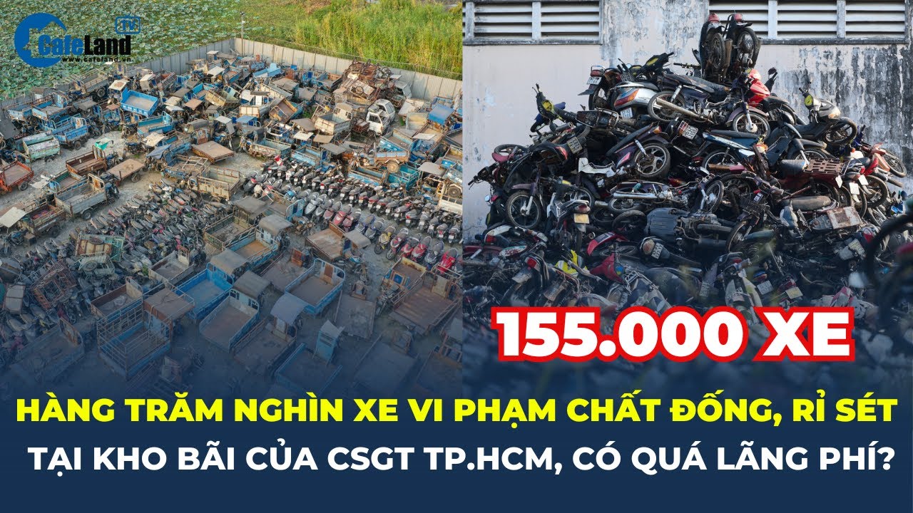 Lãng phí 'NÚI TIỀN' tại các bãi giữ xe, phương tiện VI PHẠM | CafeLand