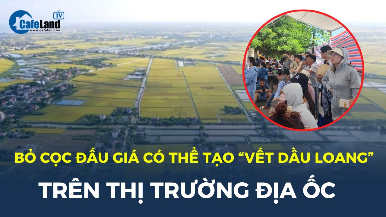 Bỏ cọc đấu giá có thể tạo “vết dầu loang” trên thị trường địa ốc | CafeLand