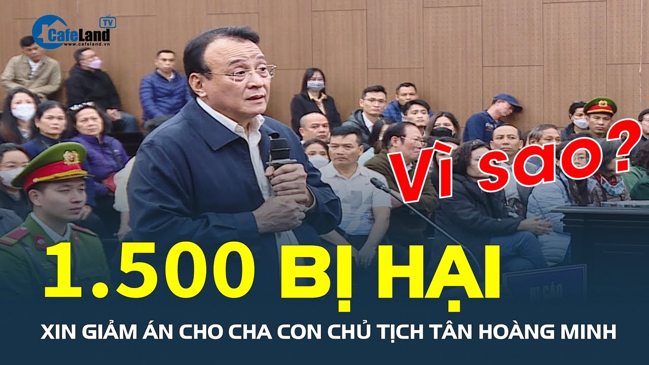 Luật sư nêu nhiều tình tiết XIN GIẢM ÁN cho cha con chủ tịch Tân Hoàng Minh | CafeLand